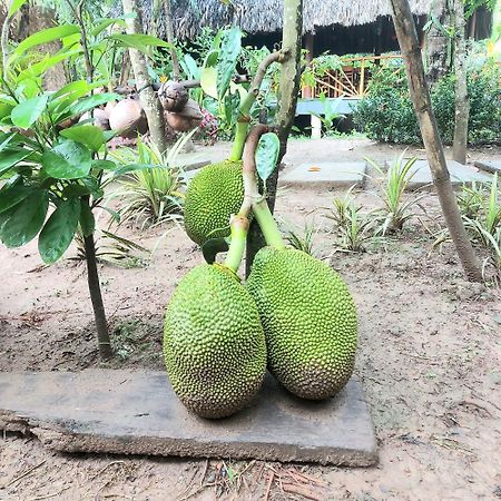 Homestay Nam Ham Luong Ben Tre Exterior photo