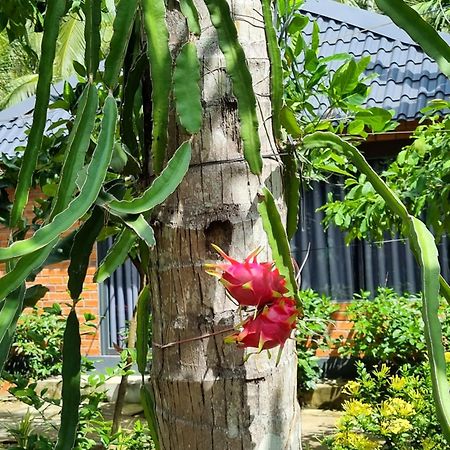 Homestay Nam Ham Luong Ben Tre Exterior photo