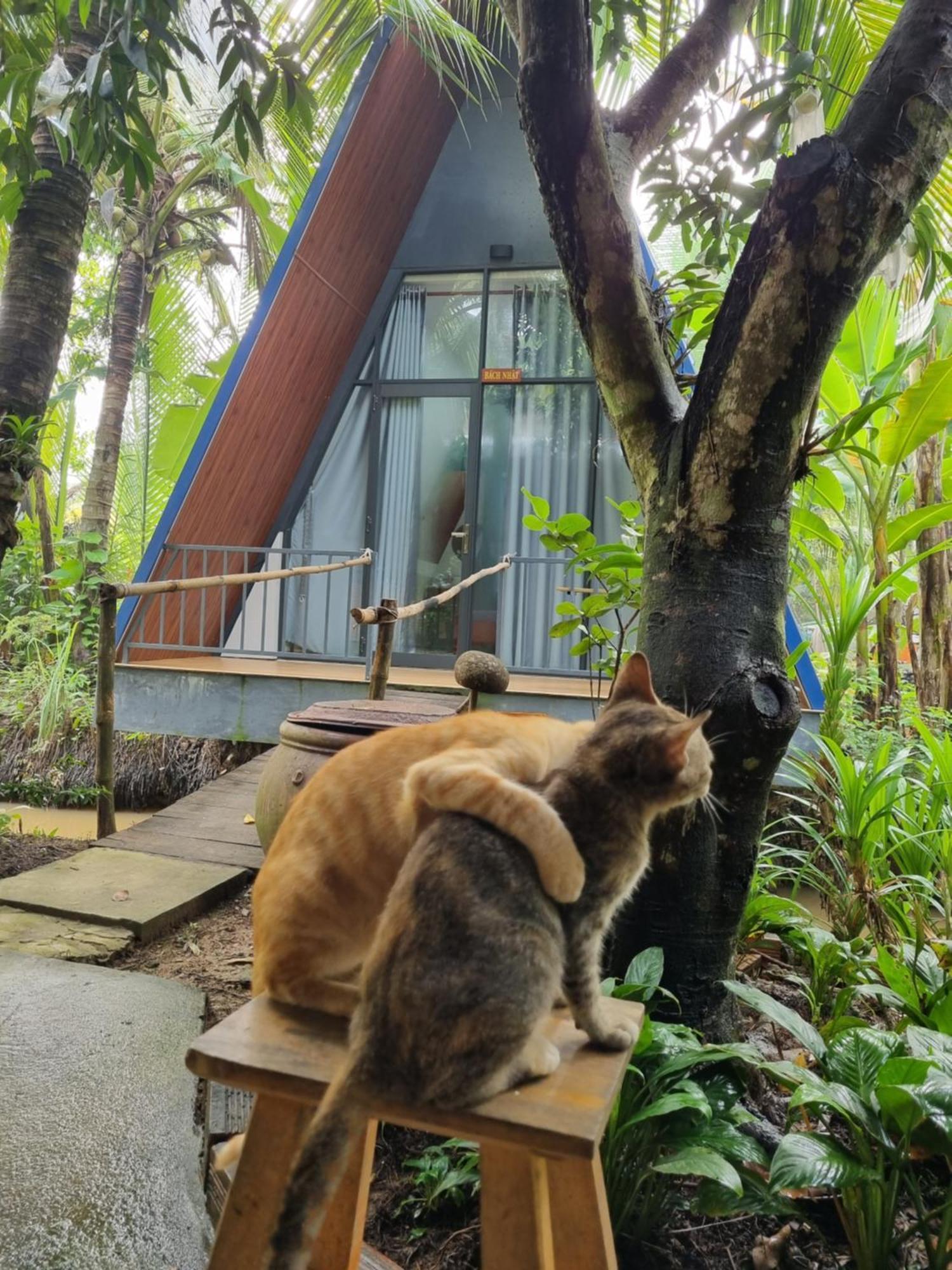 Homestay Nam Ham Luong Ben Tre Exterior photo