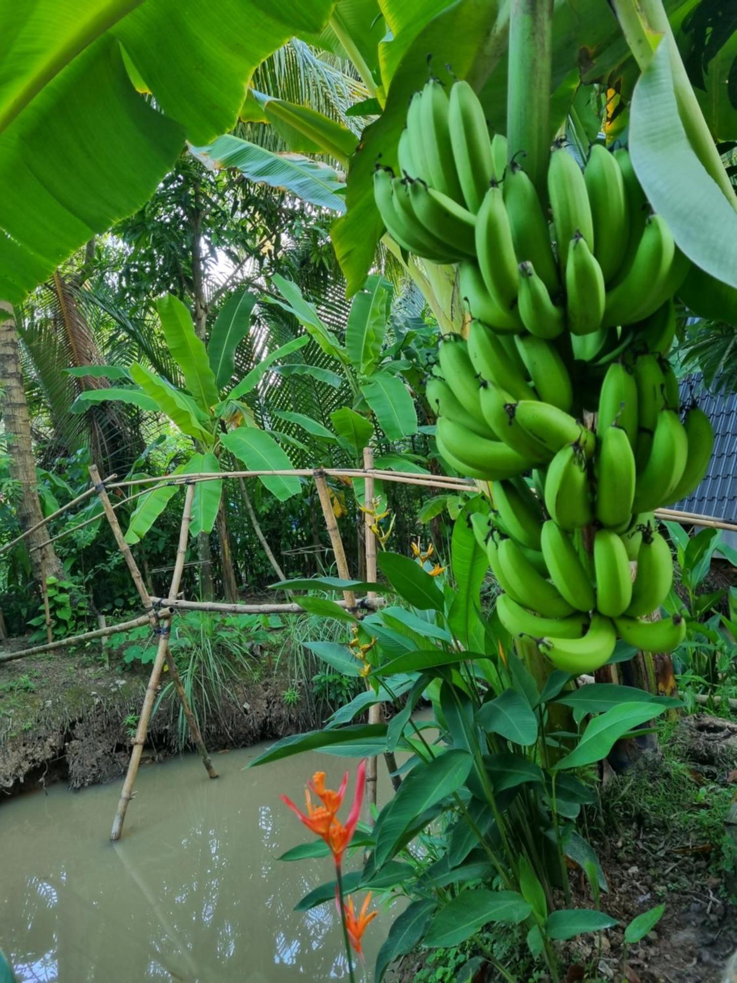 Homestay Nam Ham Luong Ben Tre Exterior photo