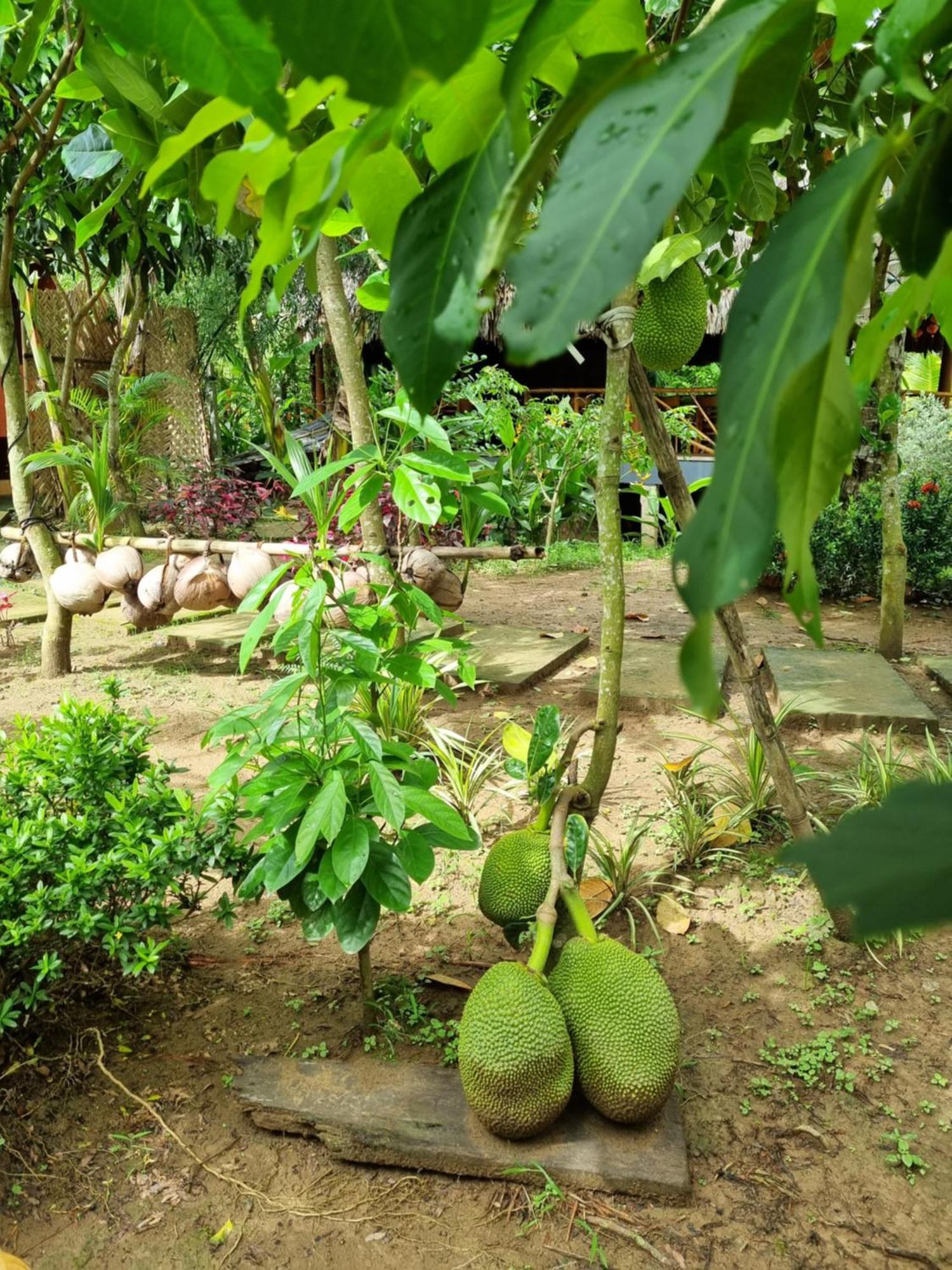 Homestay Nam Ham Luong Ben Tre Exterior photo