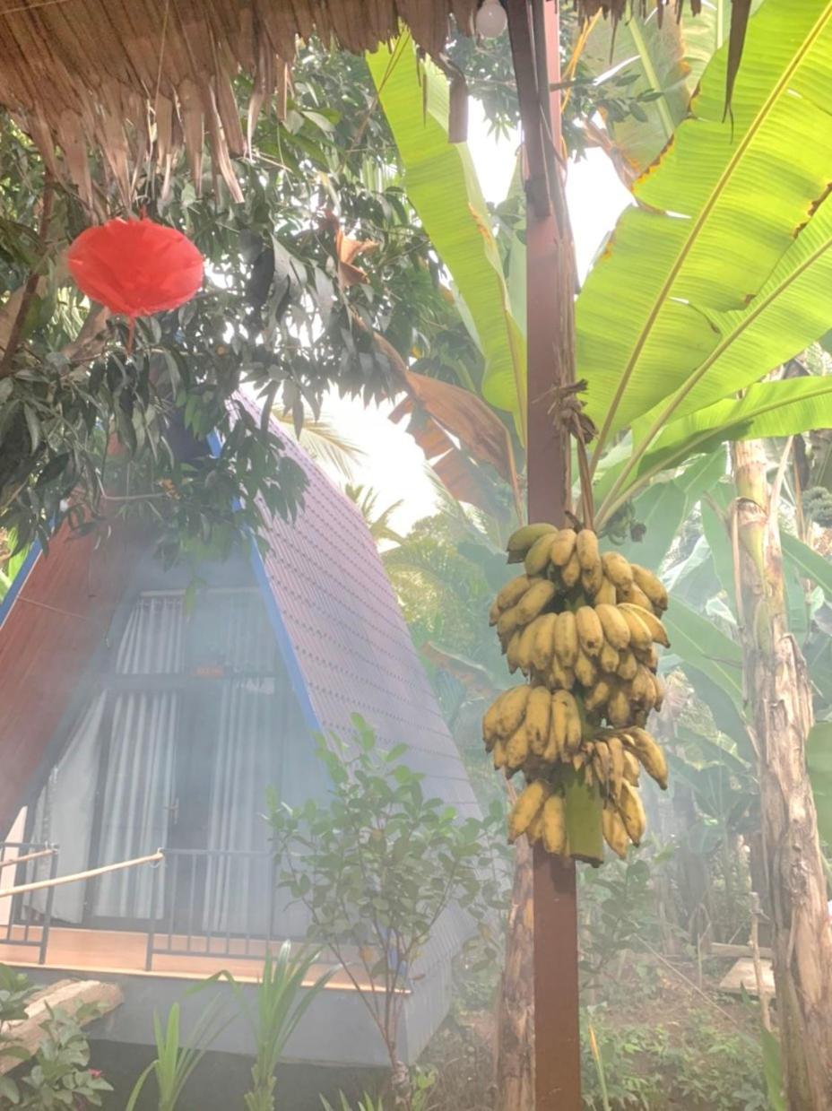Homestay Nam Ham Luong Ben Tre Exterior photo